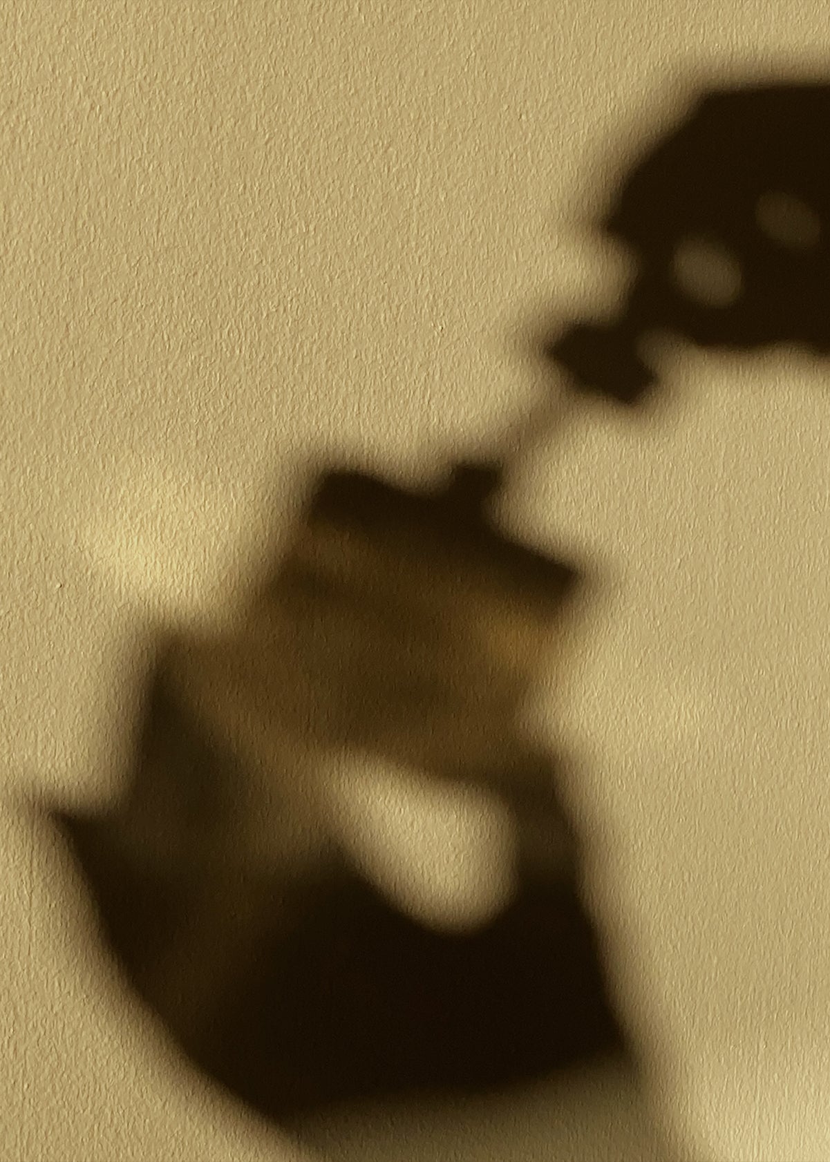 Sepia-toned shadow of a leafy plant cast on a textured wall