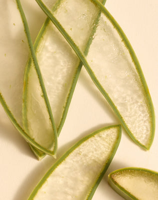 Sliced aloe vera leaves revealing translucent inner gel and green rind, arranged on a pale background.